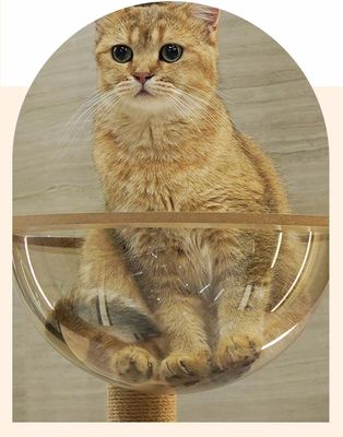 다단계 등반 프레임 스크래셔 구성 요소와 맞춤형 크기의 나무 고양이 타워