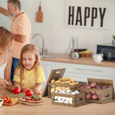 이 액릴 투명 창문 마늘 용기 를 사용 하여 주방 을 깔끔 하고 깔끔 하게 유지 하십시오