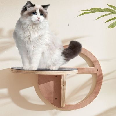 우아한 와인 포장 상자 나무 고양이 벽 계단 오르내림 선반