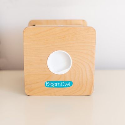 어린이용 목재 개인화폐 은행 OEM ODM 친환경 bambou 재질