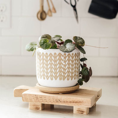 식물성 오일 재료 목재 기판 스탠드 디스플레이 트레이 사용자 정의 로고 허용