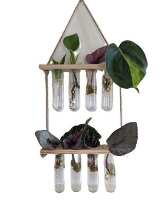 202407 원자력 생산자 수식용 식물 증식 기기