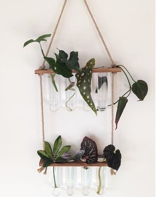 202407 원자력 생산자 수식용 식물 증식 기기