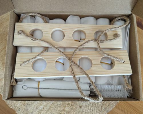 202407 원자력 생산자 수식용 식물 증식 기기