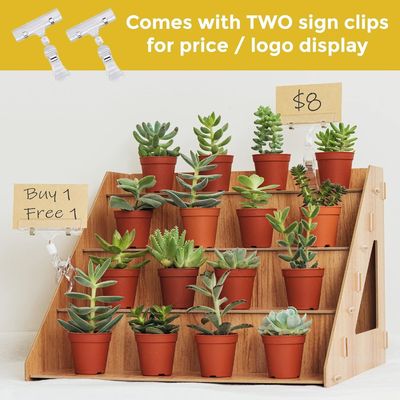 현대의 나무 책상 촛불 비누 보관기 유리 컵 컵 케이크 및 과자 표시