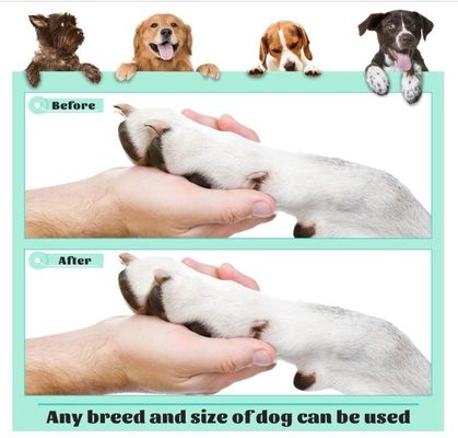 시간과 공간을 절약 202407 손톱용 개 스크래치 패드 보드