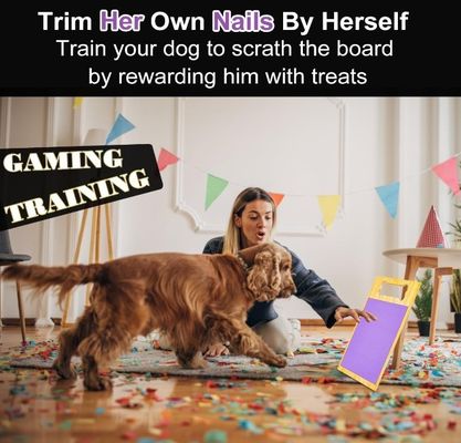 개 손톱 파일 스크래치 패드 개 손톱 깎는 손톱에 대 한 높은 양의 장점