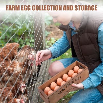 12개의 신선한 달걀을 위한 목조 달걀 상자