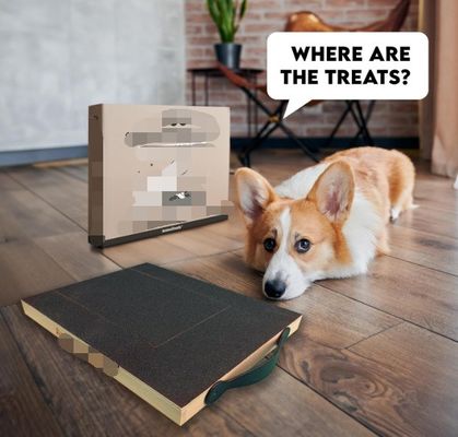 OEM 개 스크래치 패드와 트리트 박스 개 손톱 스크래치 보드 핸들 고양이 스크래치 보드