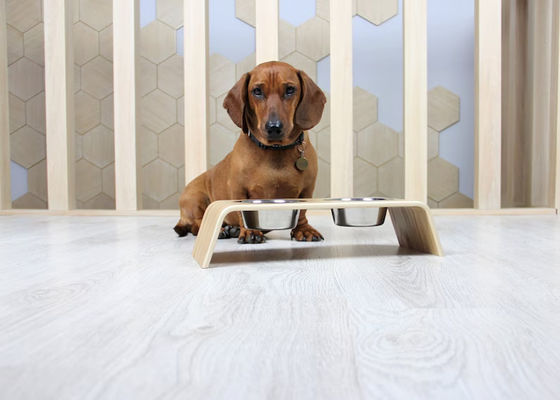 202407 애완동물 선물 개인화 된 2 개의 스테인리스 스틸 그릇과 함께 나무로 만든 음식 스탠드