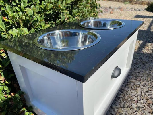 작은 애완동물 동물 먹이 스테이션 연령 애완동물 2 컵 키워드 드라워와 함께 높은 개 먹이기