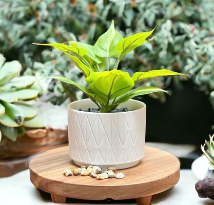 아카시아 나무 리저 둥근 기판 리저 보드 목재 기판 부엌 디스플레이 스탠드