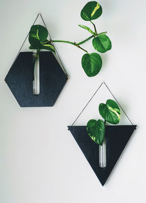 증식 스테이션 현대 미니 목화 상자 벽 플랜터