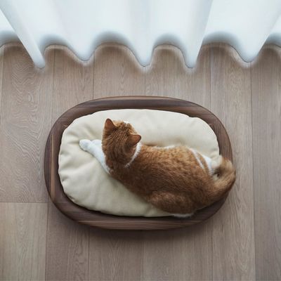 일반 나무 상자 직사각형 반등 디자인과 간편한 관리 구조를 가진 애완 동물 침대