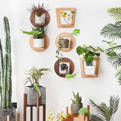 실내 식물의 서식 목재 식물의 핸더 맞춤 로고와 함께 시골 디스플레이 셸프