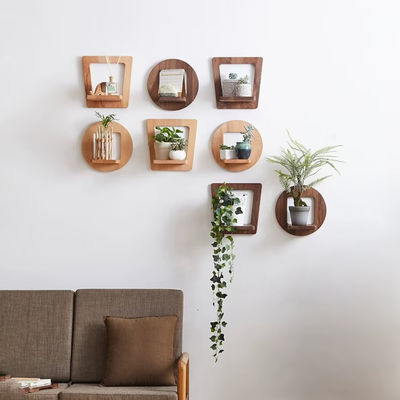 실내 식물의 서식 목재 식물의 핸더 맞춤 로고와 함께 시골 디스플레이 셸프