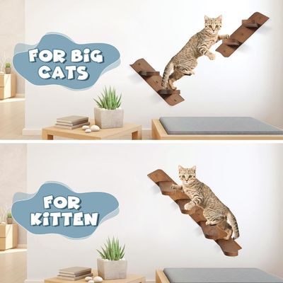 엉뚱한 바닥에 작별 인사를 해라 벽에 장착된 고양이의 먹이 선반