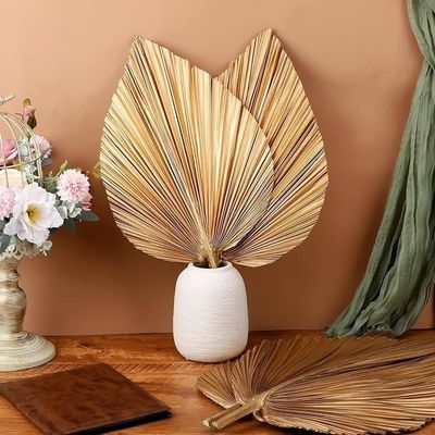 비탈룩스 로고 친환경 콤포스타블 핸드 4 PCS 대형 천연 금 건조한 팜 잎