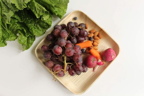 새겨진 팜 잎판 콤포스타블 Bambu 스타일 6" 8'10' 사각형 25pk 환경 친화적