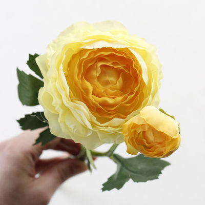 35cm 생생한 페오니아 라키플로라 인공 꽃
