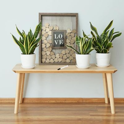 나무와 유리 로맨틱 웨딩 장식 커스텀 드롭 톱 프레임