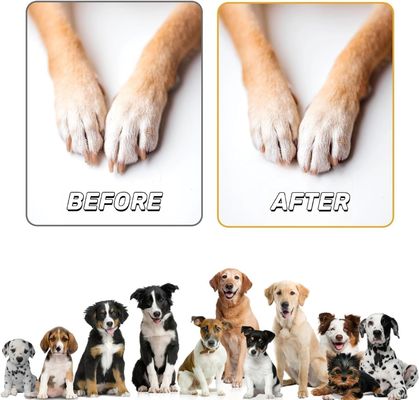 가구용 목재 개 손톱 관리 스크래치 패드 스냅 박스 무료 샘플 요금