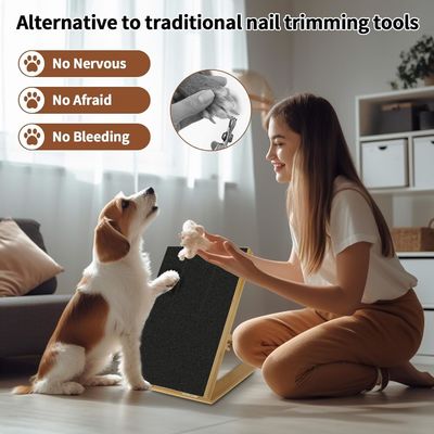 다른 각도에서 제거 가능한 커버와 조정 가능한 손톱 파일과 함께 고양이 / 개 스크래치 패드