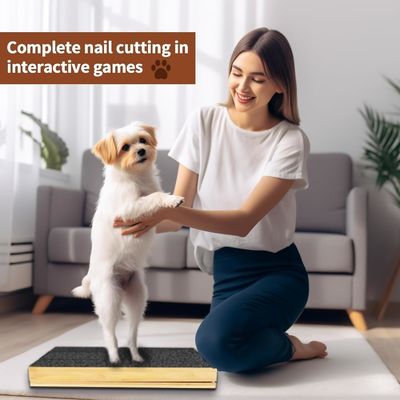 다른 각도에서 제거 가능한 커버와 조정 가능한 손톱 파일과 함께 고양이 / 개 스크래치 패드