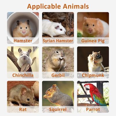 햄스터 서있는 플랫폼 운동 장난감 케이지 부속품