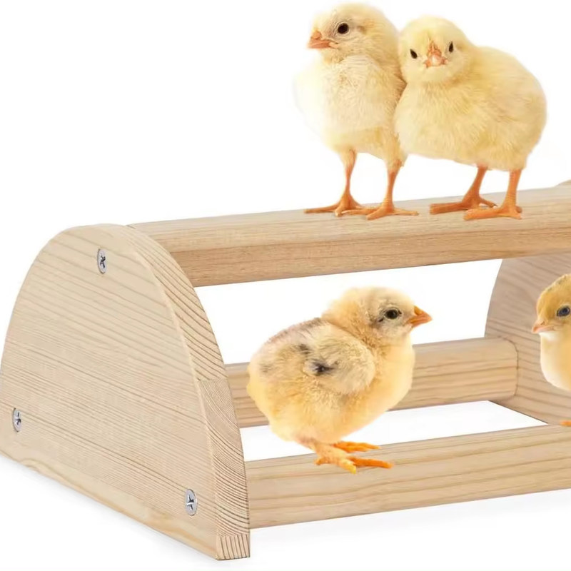 202405 새 둥지 튼튼한 두꺼운 목재 둥지 둥지 둥지 둥지